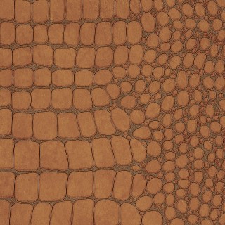 Колекція Vinyl Crocodile Rock, 10851