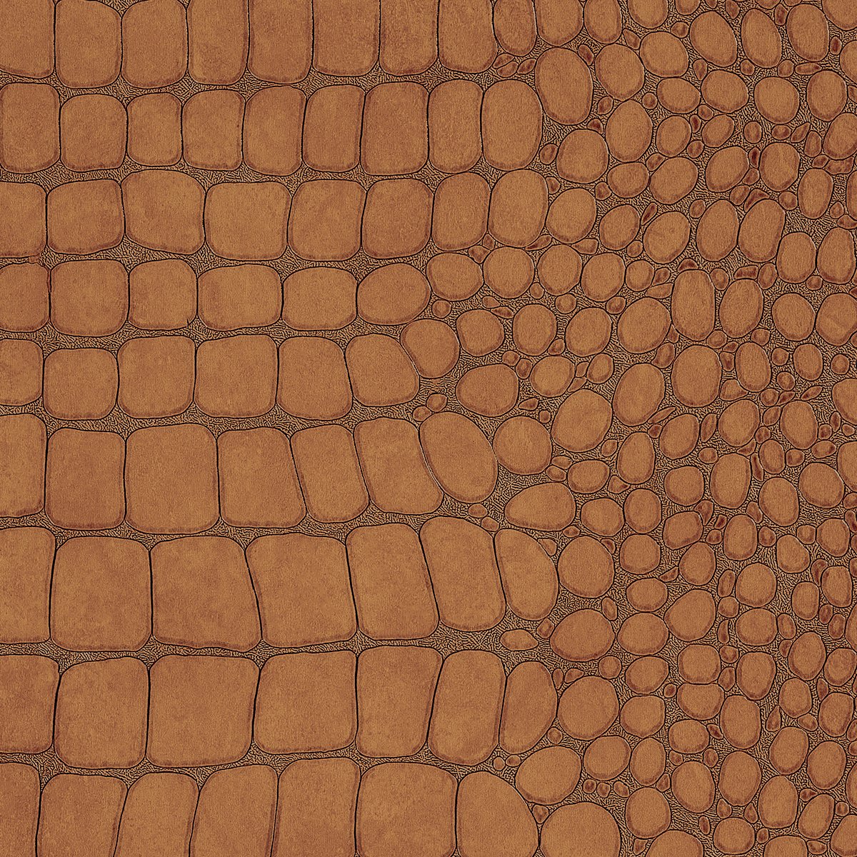 Колекція Vinyl Crocodile Rock, 10851