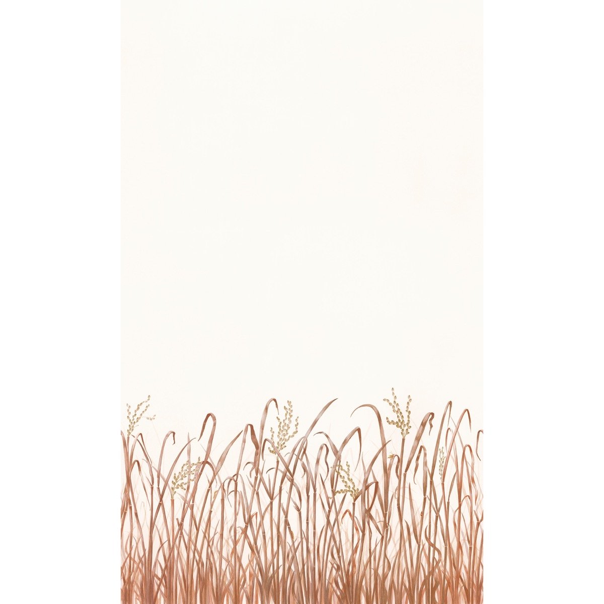 Колекція Panorama, PAN131