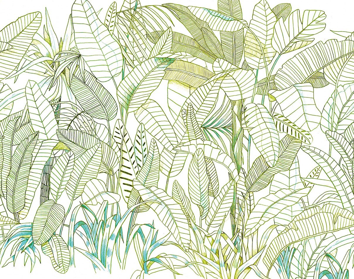 Коллекция Wall Designs III, DG3GRA1011 > DG3GRA1013
