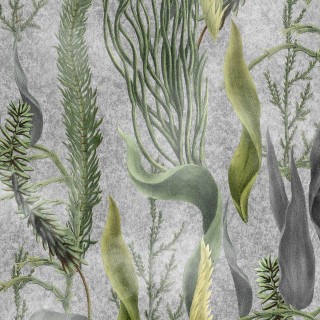 Колекція The Wetlands, WP20718