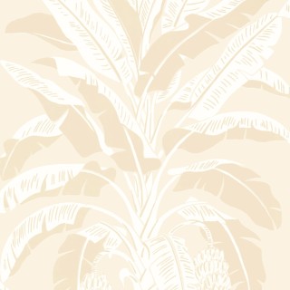 Колекція Palm Grove, T13920