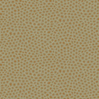 Колекція Ardmore Collection 109/6029