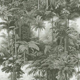Коллекция ArboretumG, 127916