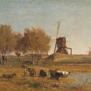 Колекція Painted Memories 2, 8058