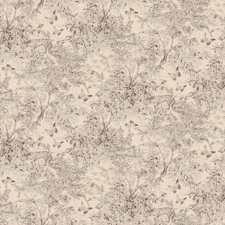 Коллекция  Amazone, ZON205