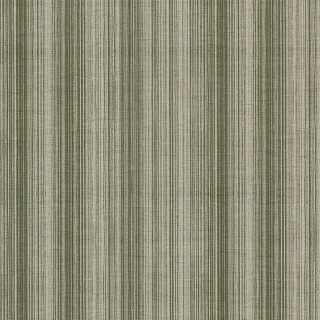 Колекція Chamberlain Stripe, 31604