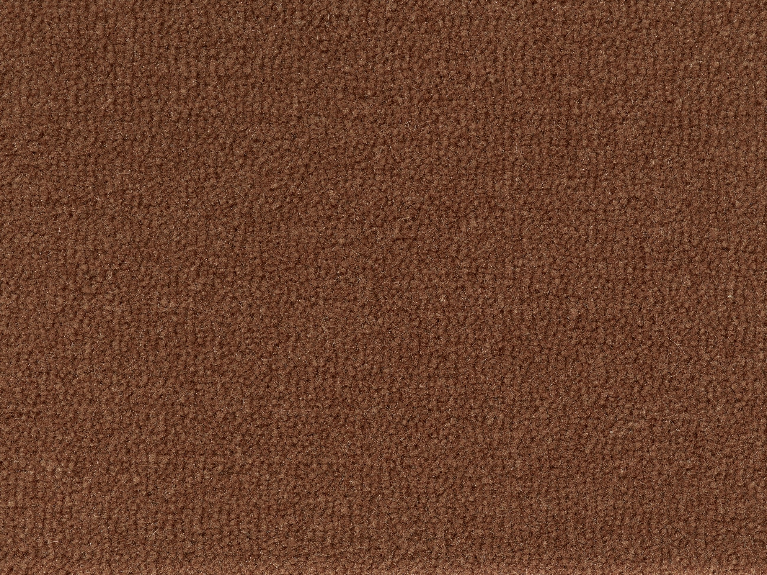 Килим Essence Terra