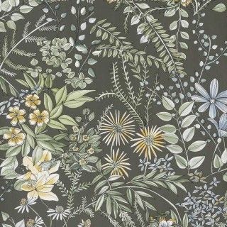 Колекція Natural Subtleties , 50336W4916403