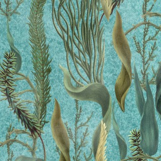 Колекція The Wetlands, WP20716