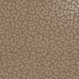 Колекція Essence, 66301