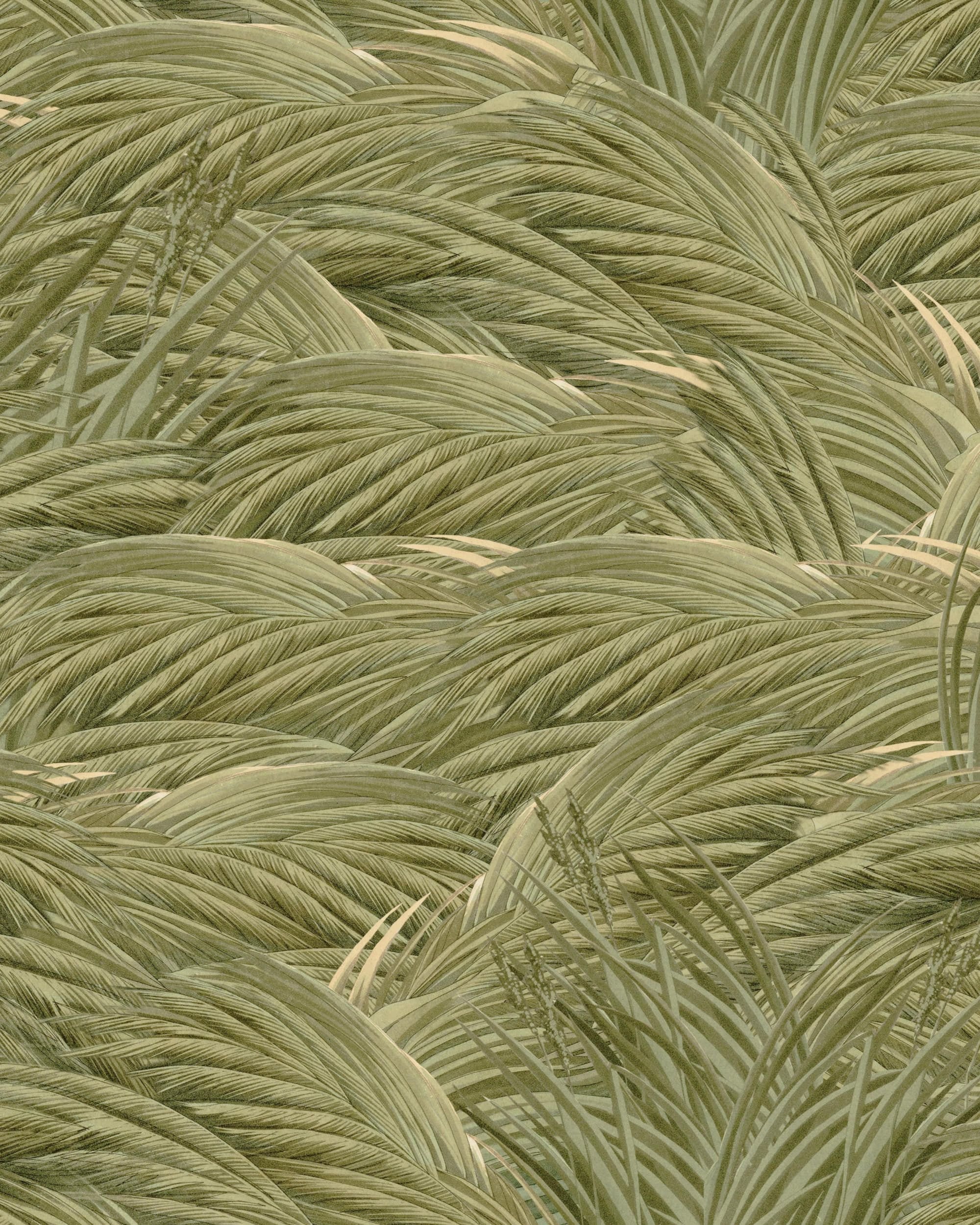 Колекція The Wetlands, WP30168