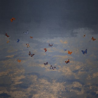 Колекція Butterfly Sky, 9670