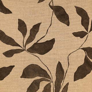 Колекція Desert Ivy, 40204