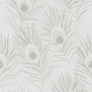Колекція Paloma, HPUT111879
