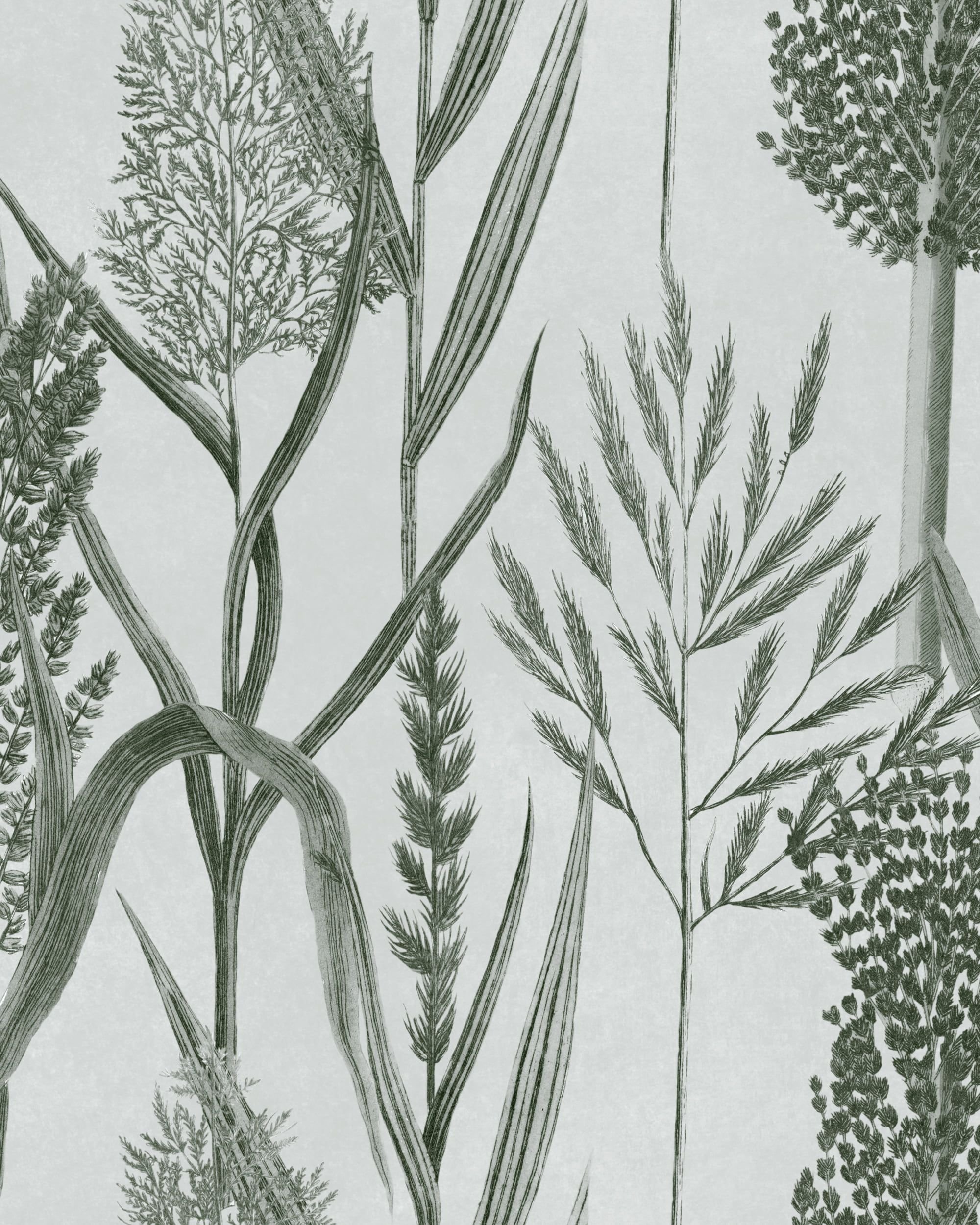 Колекція The Wetlands, WP30165