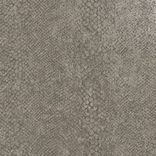 Колекція Essence, 66281