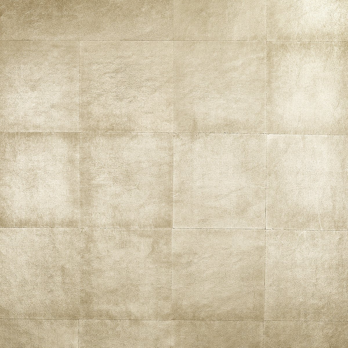 Колекція DaVinci, GV227