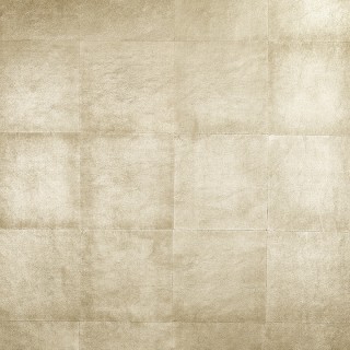 Колекція DaVinci, GV227
