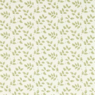 Колекція Country Woodland,  217422