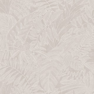 Колекція Ray, RAY202