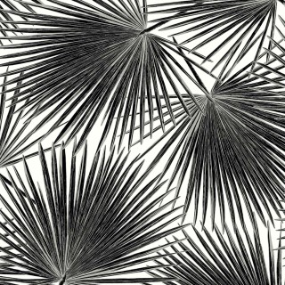 Коллекция  Piano, WH41500