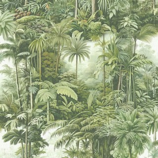 Коллекция ArboretumG, 127914