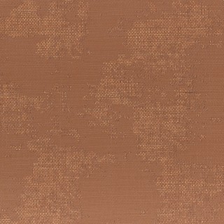 Колекція Adobe, 41303