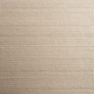 Колекція Ted Baker, 14047W9975601