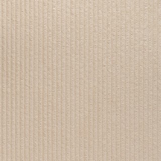 Колекція Corduroy Cloth, 8916