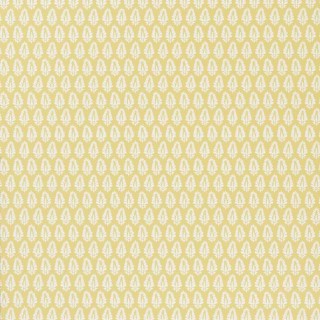 Колекція Natural Subtleties , 50355W4941503