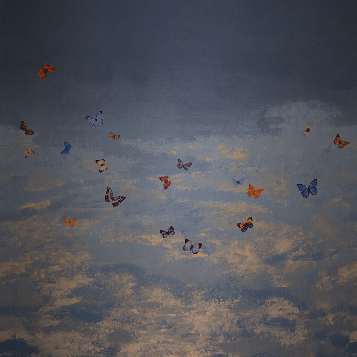 Колекція Butterfly Sky, 9670