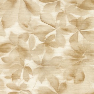 Колекція Colour 4, HC4W113004