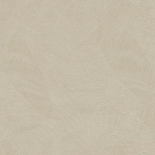 Колекція Thom, TH9920