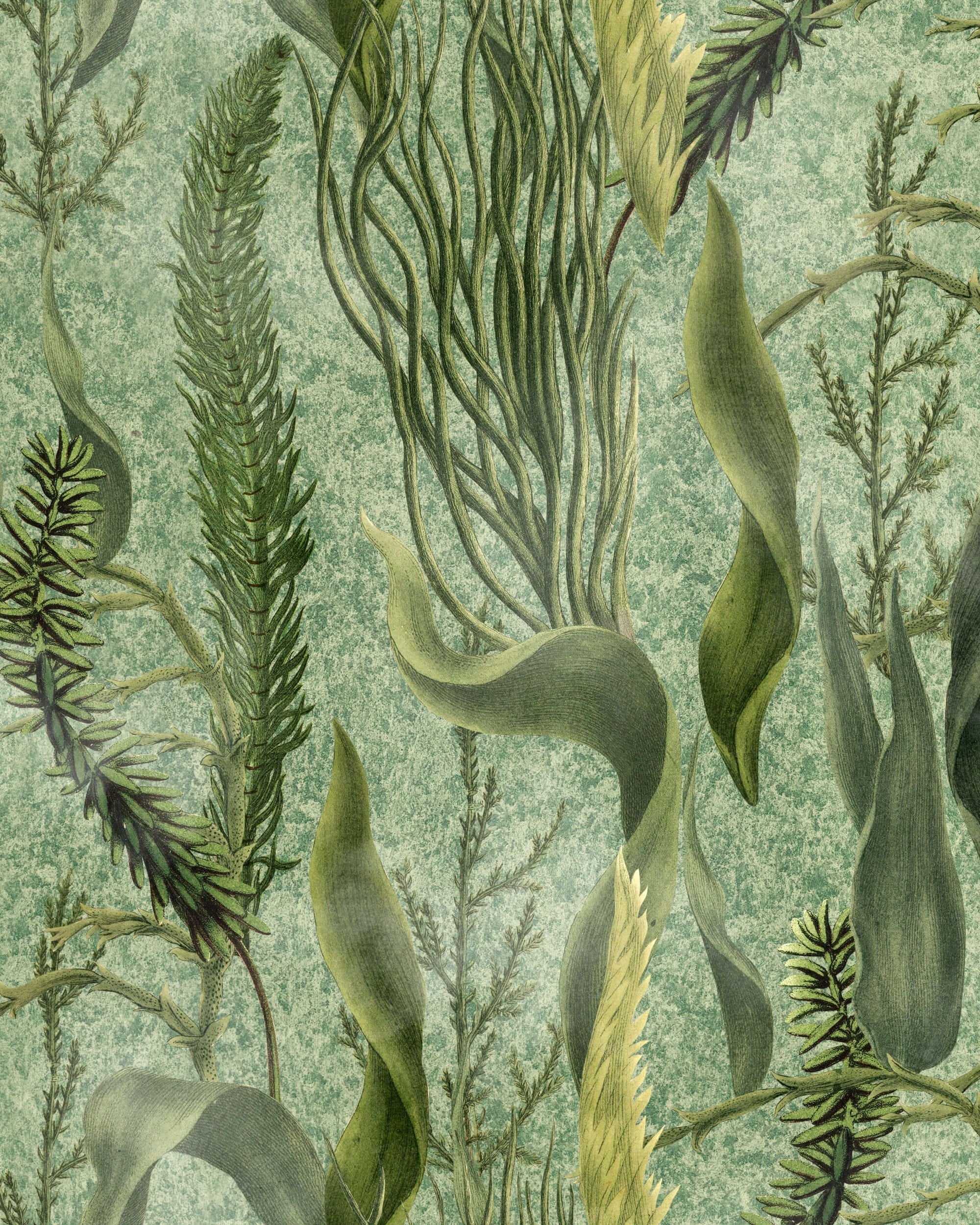 Колекція The Wetlands, WP20717
