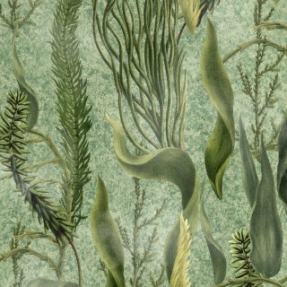Колекція The Wetlands, WP20717