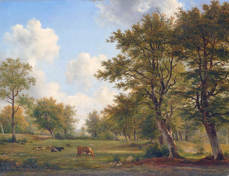 Колекція Painted Memories 2, 8051