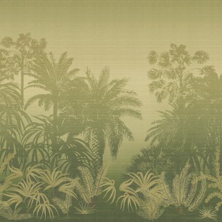 Коллекция  Amazone, DGZON1021