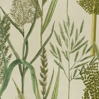 Колекція The Wetlands, WP30164