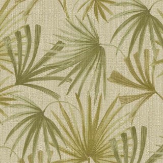 Колекція Groovy, 340513