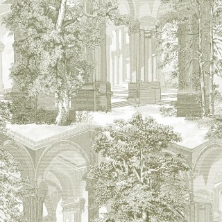 Коллекция ArboretumG, 129094