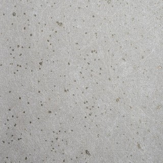 Колекція Ted Baker, 14060W9979404