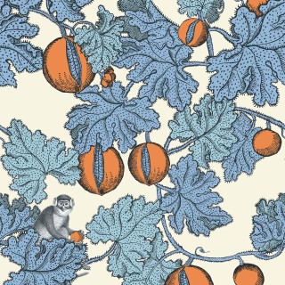 Колекція Fornasetti Selection, 114/1003
