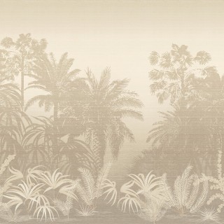 Коллекция  Amazone, DGZON1011