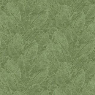 Колекція Havana, HAV302