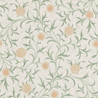 Колекція Compilation, DCMW216831
