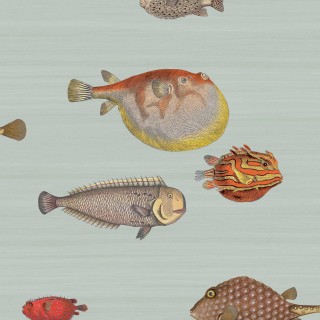 Колекція Fornasetti Selection, 97/10030