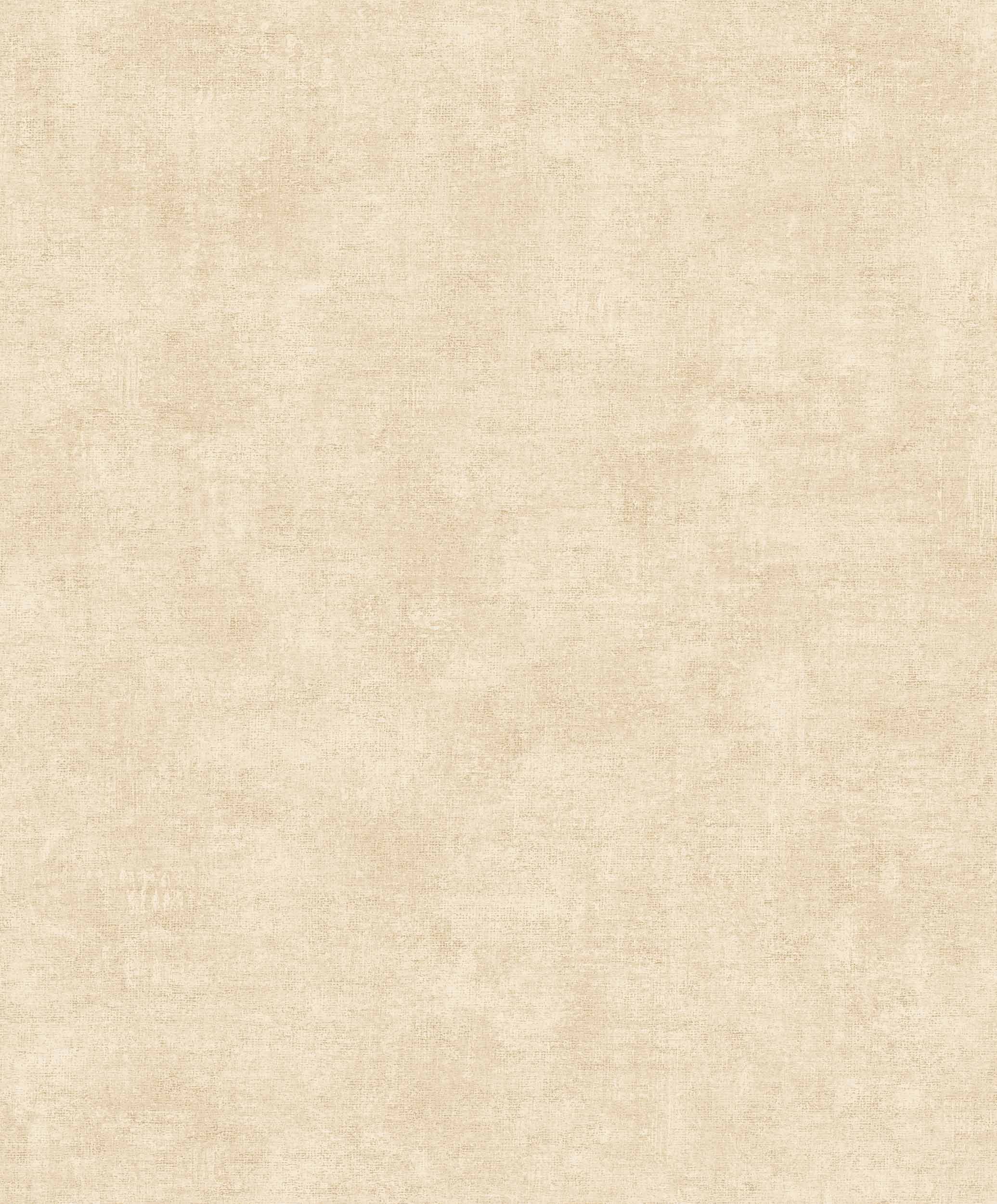 КолекціяPalette, B00008