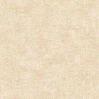 КолекціяPalette, B00008