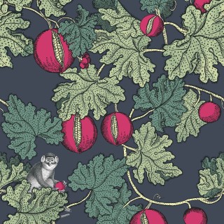 Колекція Fornasetti Selection, 114/1001